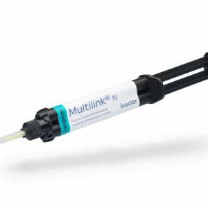 C. DUAL MULTILINK SPEED 6 GR. TRANSP